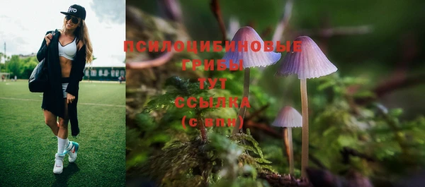 стафф Богородицк