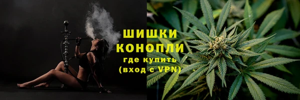 стафф Богородицк