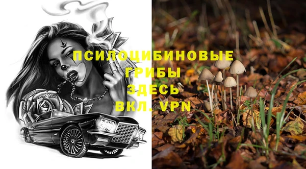 стафф Богородицк