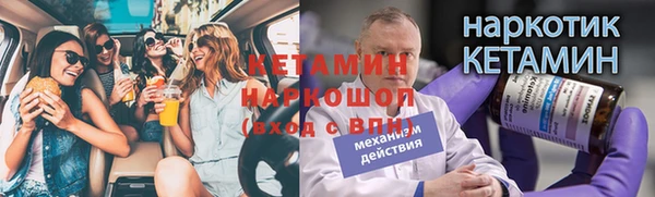 стафф Богородицк