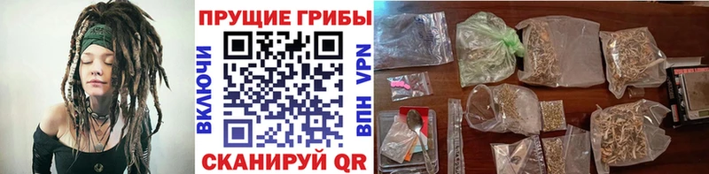 Псилоцибиновые грибы Magic Shrooms  Купить  Черногорск 