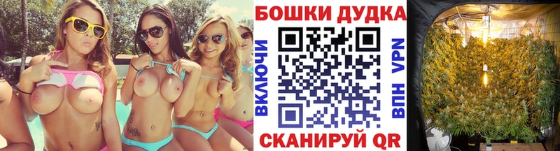 Купить  Черногорск  Бошки Шишки SATIVA & INDICA 